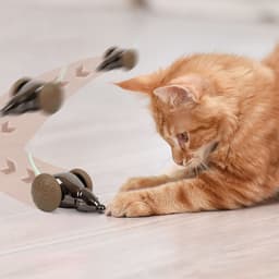 Jucărie Interactivă Pisici Soricel Metalic, LED RGB, USB-C - 2