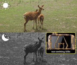 Camera de vanatoare, Rezolutie 8K, Foto 60MP, SIM 4G iOS si Android, IR Nocturna 30M, IP66 Impermeabila, Senzor Ultra-rapid 0.2 Secunde, Card Memorie - imagine 13