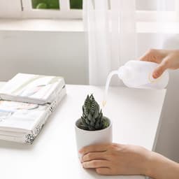 Set 14 Piese Ustensile pentru Gradinarit, Ideal pentru Ingrijirea Plantelor si Bonsai - imagine 18