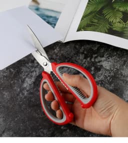 Foarfeca Multifunctionala Bucatarie si Birou - Otel Inoxidabil, 19,3 cm, Rosu - 3