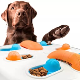 Jucarie Puzzle pentru Caini cu Eliberare Hrana sau Recompense, Hranire, Antrenament, Miros, pentru Caini Mari, Mijlocii și Mici - 3