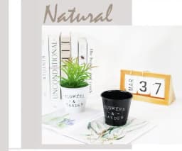 Set 2 Ghivece pentru Flori, Model Rustic-Chic, Plastic, 13x12 cm, Alb/Negru - 3