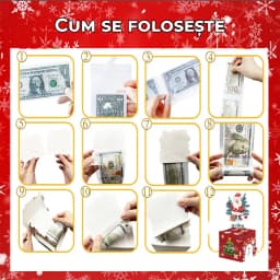 ghid-utilizare-cutie-bani
