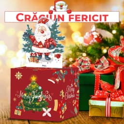 cutie-cadou-bani-sub-brad